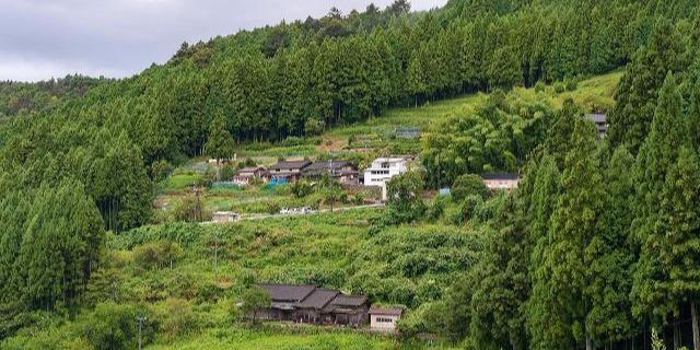 最新土地法，重塑土地管理新篇章