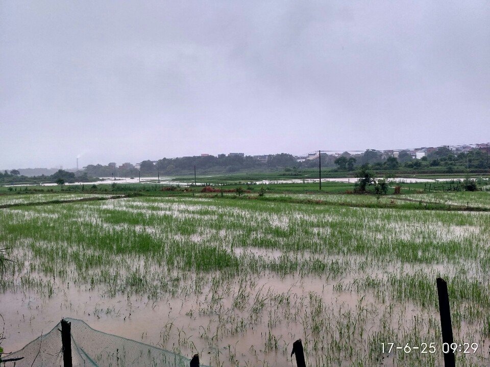 陆坊乡天气预报更新通知