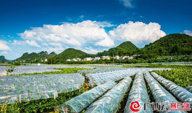 北牙瑶族乡天气预报更新通知