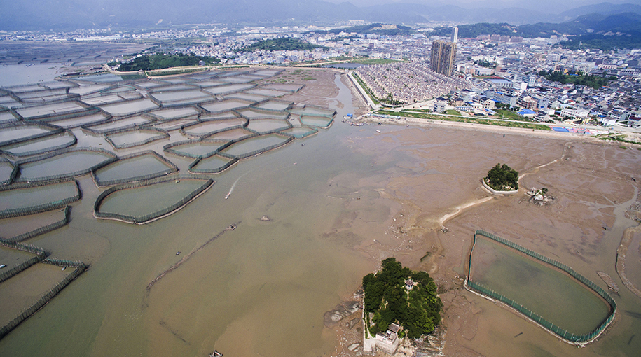 西店镇天气预报更新通知