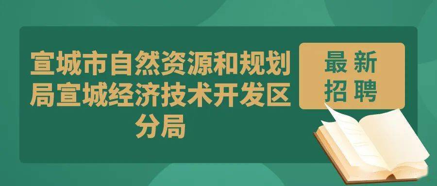 天峨县自然资源和规划局最新招聘启事概览