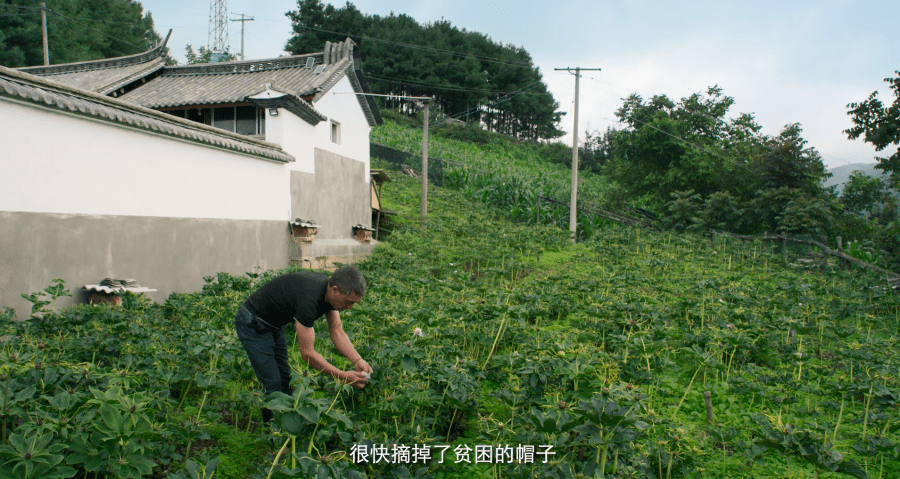 阿嘎村新项目启动，乡村振兴新篇章开启