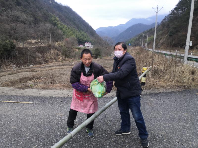 大化坪镇领导团队引领地方发展新篇章