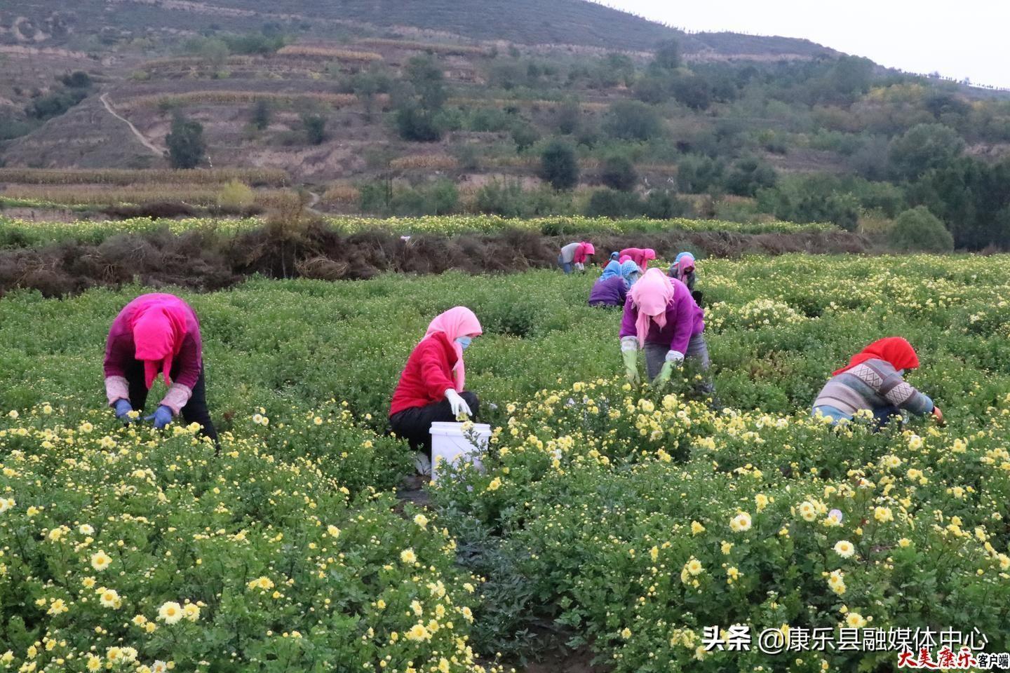 城乡融合发展的强大引擎，最新项目推动城乡一体化进步