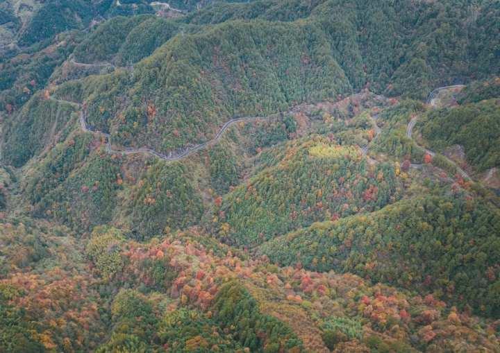 永青经营所最新动态报道