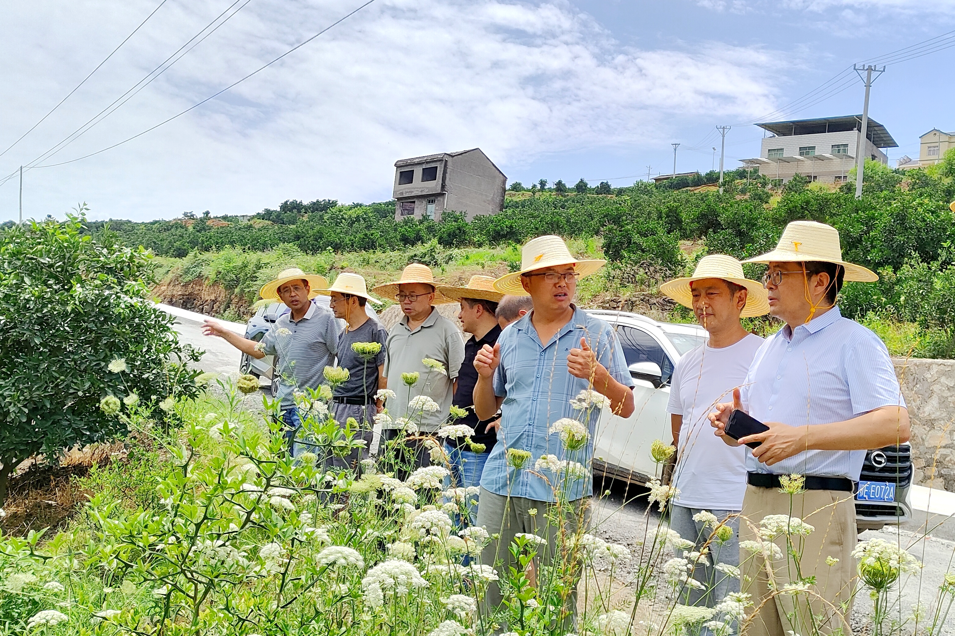 茅麓镇交通建设蓬勃发展，助力地方经济腾飞最新消息