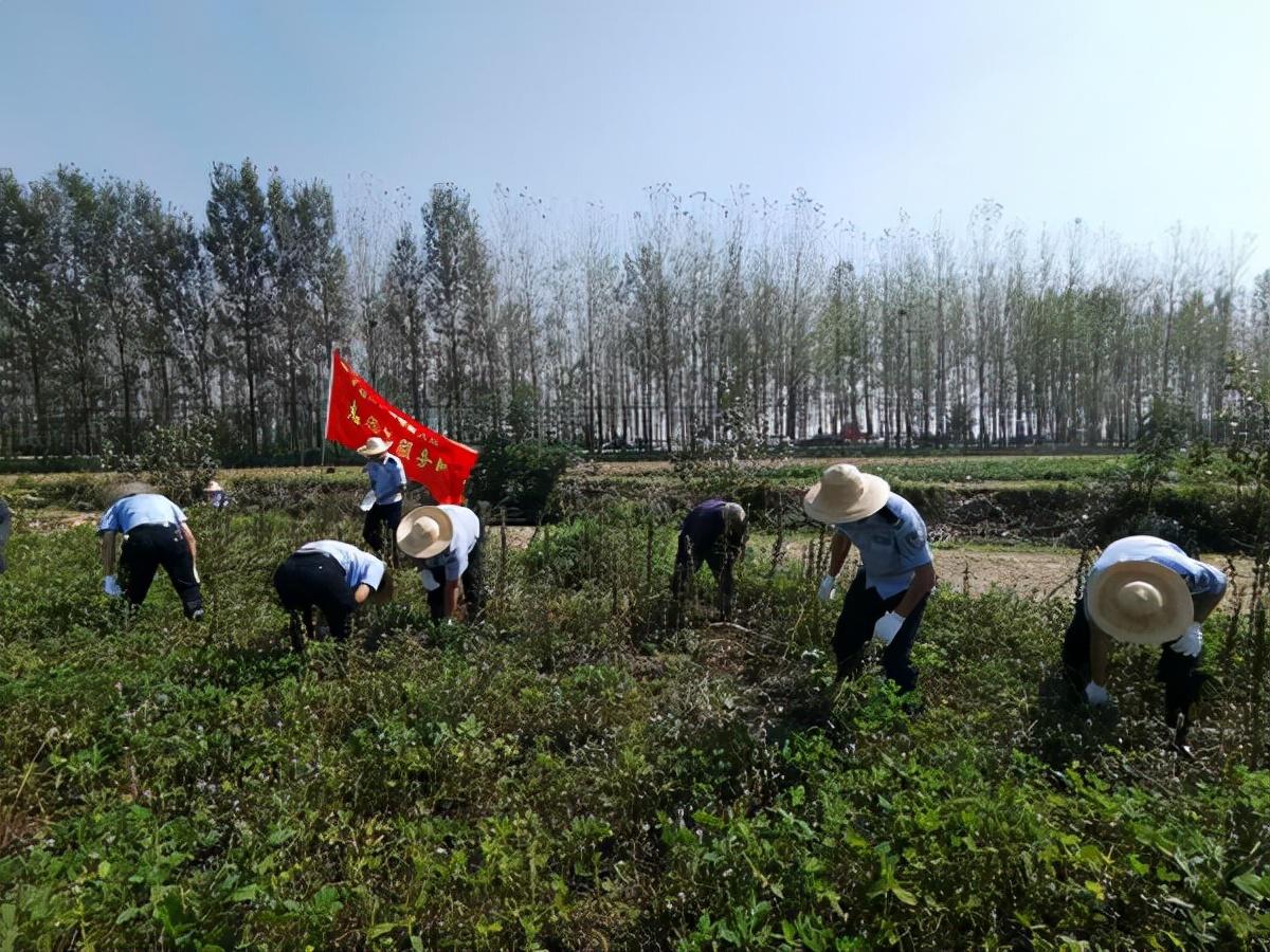 舞阳县人民政府办公室领导团队全新亮相，未来工作展望与期待