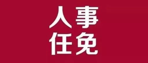 樟树市审计局人事任命重塑未来审计新局面