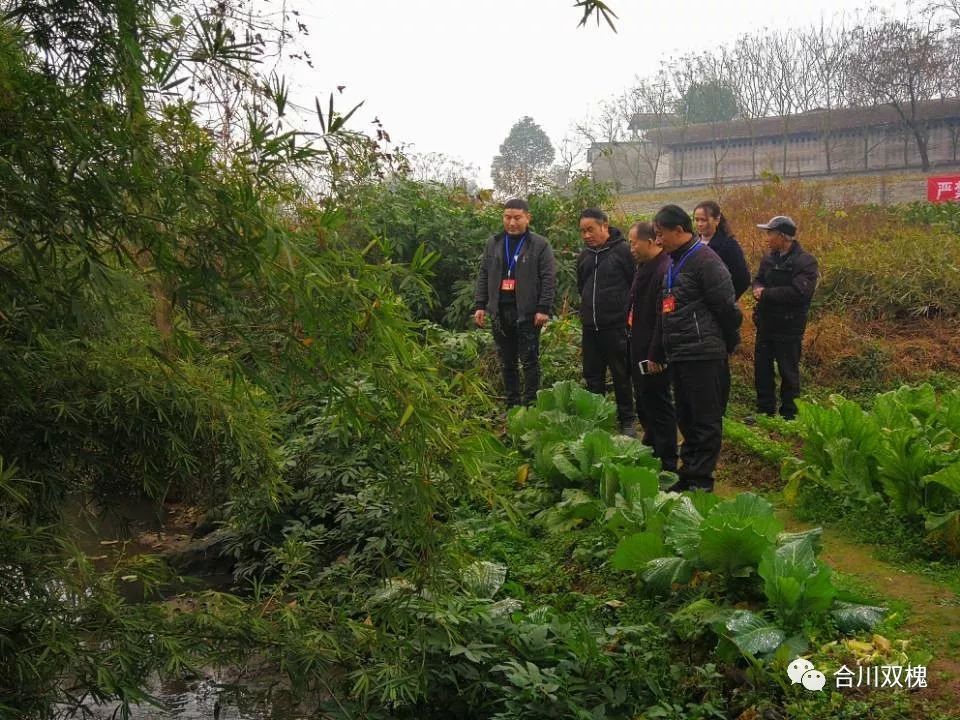 双槐镇交通最新动态，发展助力地方繁荣