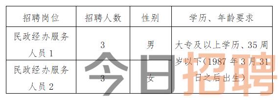 天园街道最新招聘信息全面解析