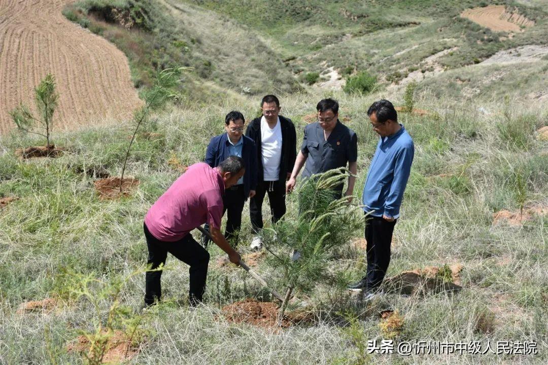 山西省忻州市忻府区三交镇最新领导团队介绍