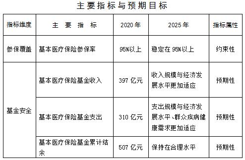 县医疗保障局未来发展规划蓝图