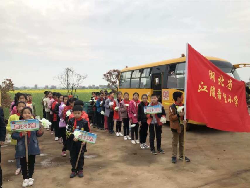 江陵县小学最新动态报道