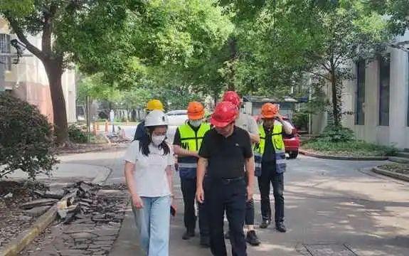 卢氏县级公路维护监理事业单位最新项目探究