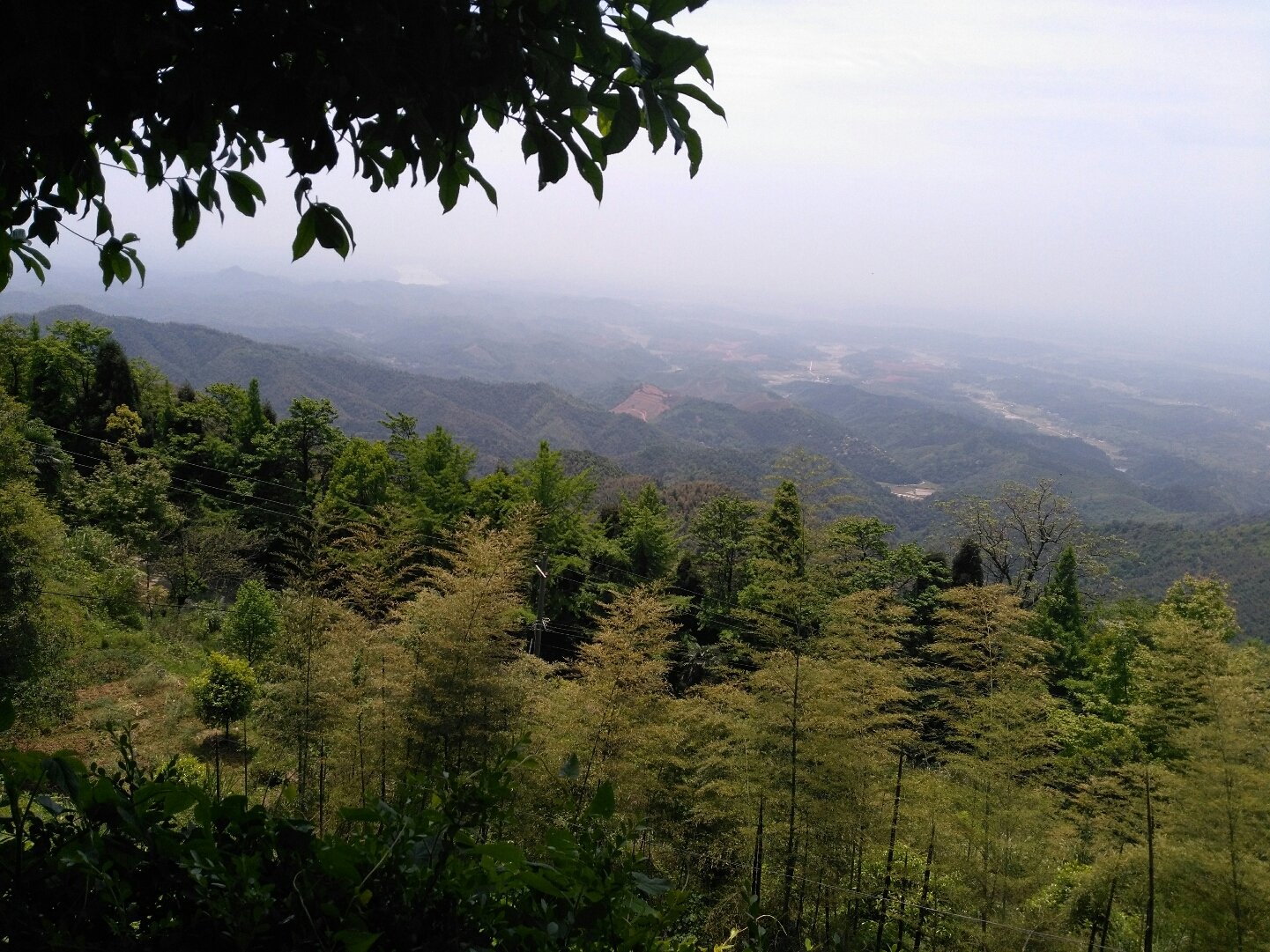 衡阳县岣嵝峰林场最新资讯动态