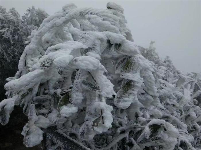 金子山乡天气预报与应对建议