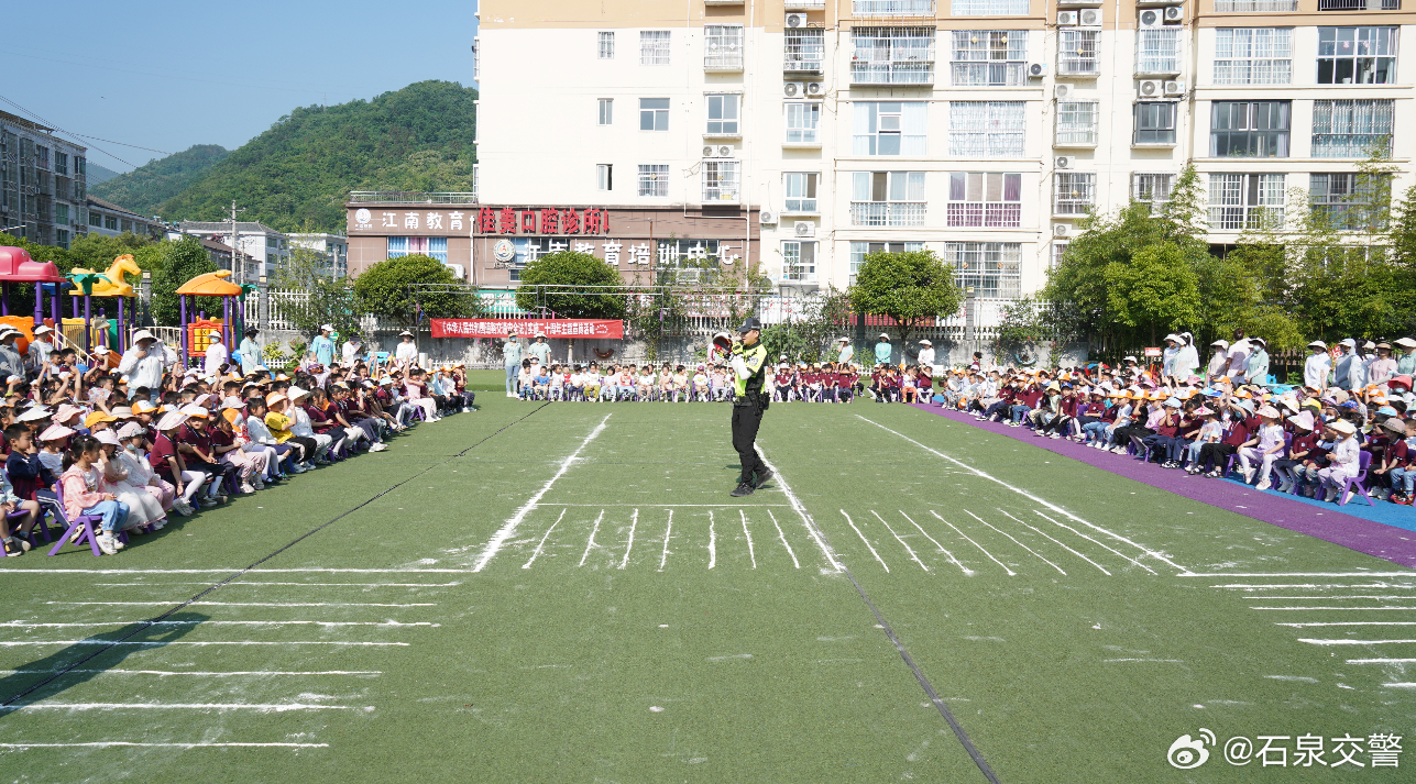 石泉县小学最新招聘公告概览