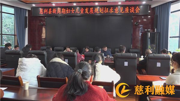 慈利县民政局发展规划，构建和谐社会，提升民生福祉服务