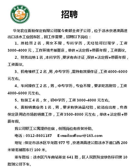 永年县科技局最新招聘信息与职业机会深度探讨