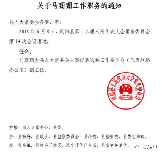 凤台县科学技术与工业信息化局人事任命启动新篇章，科技与工业信息化事业迎来新机遇