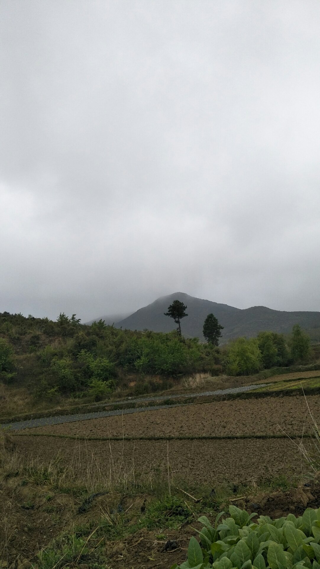 马坪乡天气预报更新通知