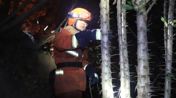 长寿区应急管理局新项目，构建全方位安全与应急管理体系