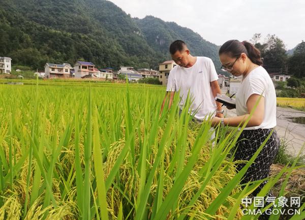 湘西土家族苗族自治州气象局最新项目研究与实践成果展示